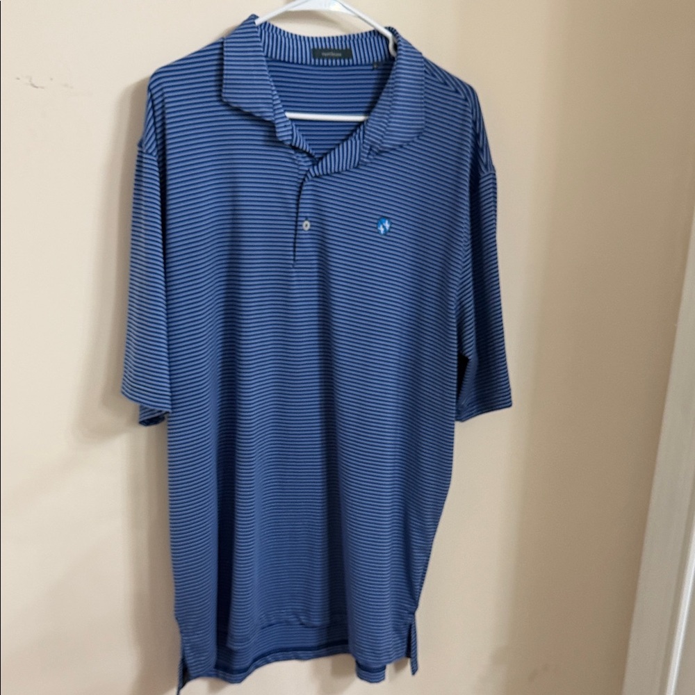 Blue Striped Polo Shirt- Turtleson 2XL